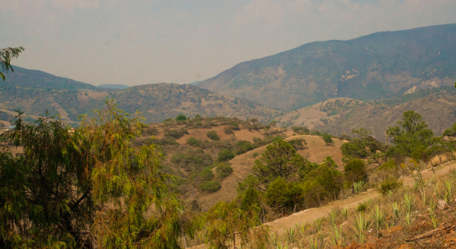 Filosofia Horizonte Sustentable Horizonte Sustentable - Filosofía Filosofia Horizonte Sustentable