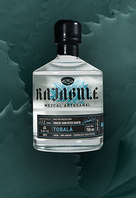 Horizonte Sustentable - Jabalí 2019 Jump Mezcal Rajabule tobala navegacion null