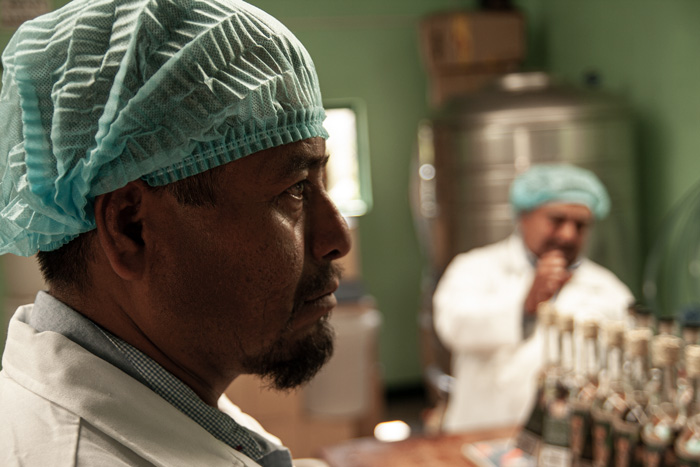 Horizonte Sustentable - Tobalá 2022 Mezcal Rajabule Maestro Mezcalero Juan Reyes 2