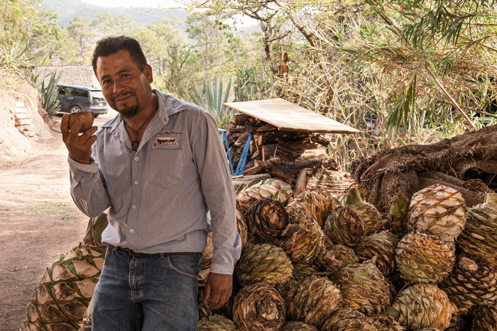 Horizonte Sustentable - Tobalá 2022 Mezcal Rajabule Maestro Mezcalero Juan Reyes