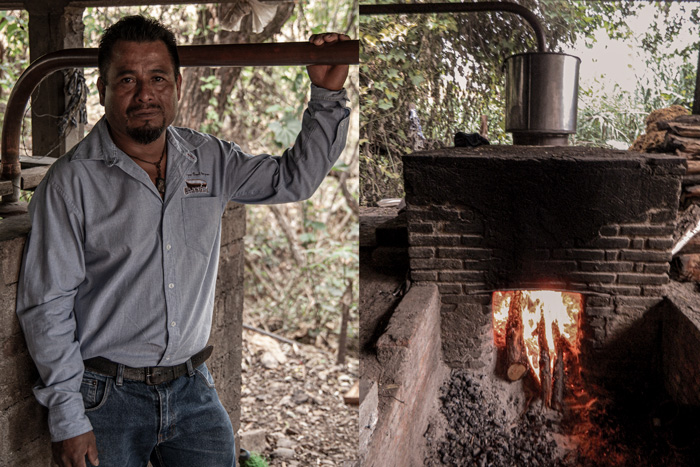 Horizonte Sustentable - Tobalá 2022 Mezcal Rajabule proceso de la manan Juan reyes 1