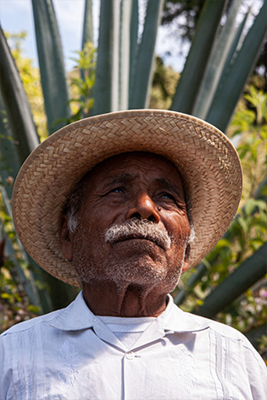 Mezcal-artesanal-maestro-mezcalero-fulgencio-reyes-02 Horizonte Sustentable - Jabalí 2019 Mezcal artesanal maestro mezcalero fulgencio reyes 02