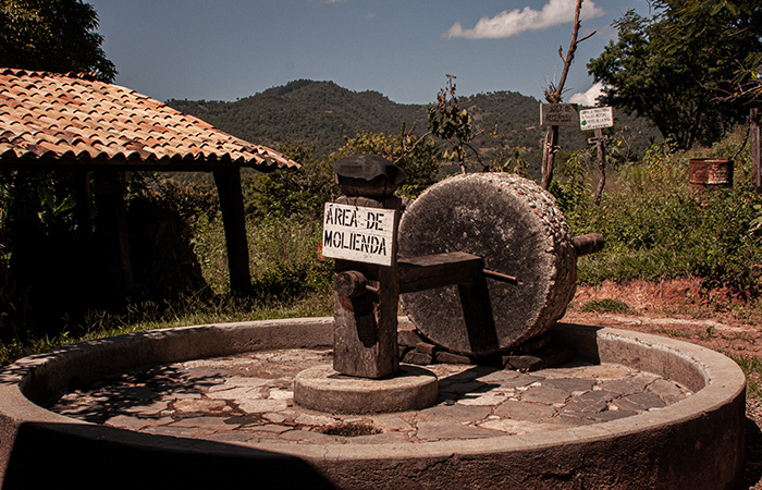 Horizonte Sustentable - Tobalá 2022 Mezcal artesanal palenque de la manana 01