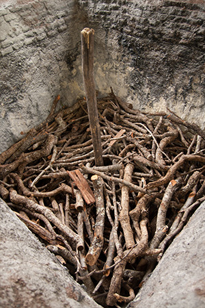 Mezcal-artesanal-proceso-horno-palenque-de-la-manana-05 Horizonte Sustentable - Jabalí 2019 Mezcal artesanal proceso horno palenque de la manana 05