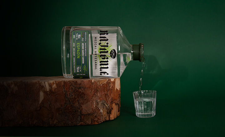 Rajabule-mezcal-artesanal-sustentable-espadin-escena5 Horizonte Sustentable - Espadín 2016 Rajabule mezcal artesanal sustentable espadin escena5