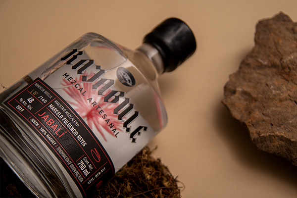 Rajabule-mezcal-artesanal-sustentable-jabali-escena5 Horizonte Sustentable - Jabalí 2019 Rajabule mezcal artesanal sustentable jabali escena5