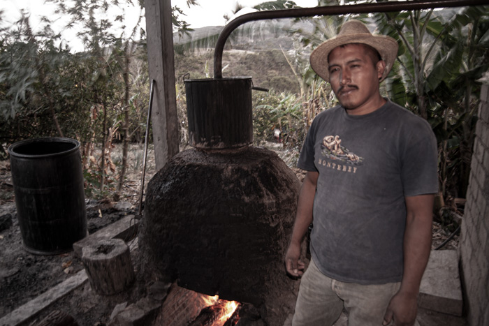 Rajabule-mezcal-artesanal-sustentable-palenque-el-agricultor-2 Horizonte Sustentable - Barril 2022 Rajabule mezcal artesanal sustentable palenque el agricultor 2