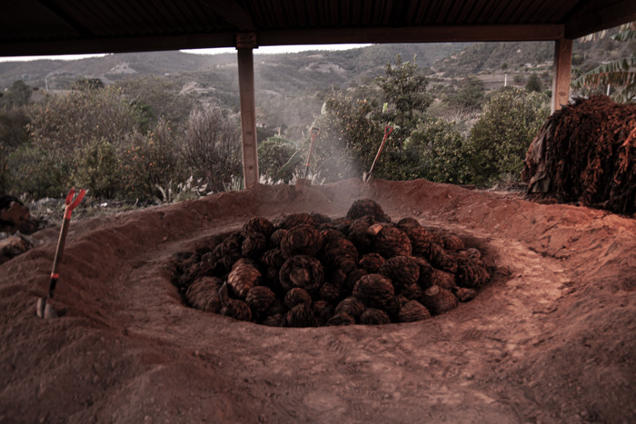 Rajabule-mezcal-artesanal-sustentable-palenque-el-agricultor-3 Horizonte Sustentable - Barril 2022 Rajabule mezcal artesanal sustentable palenque el agricultor 3