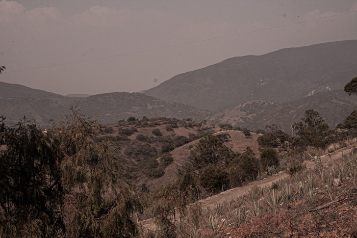 Rajabule-mezcal-artesanal-sustentable-palenque-el-vainillo-3 Horizonte Sustentable - Espadín | Tobasiche | Mexicano 2016 Rajabule mezcal artesanal sustentable palenque el vainillo 3