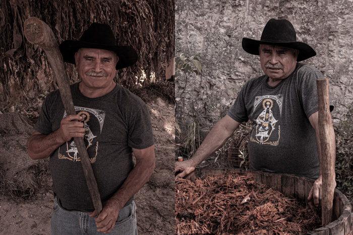 Rajabule-mezcal-artesanal-sustentable-proceso-el-vainillo-1 Horizonte Sustentable - Espadín | Tobasiche | Mexicano 2016 Rajabule mezcal artesanal sustentable proceso el vainillo 1