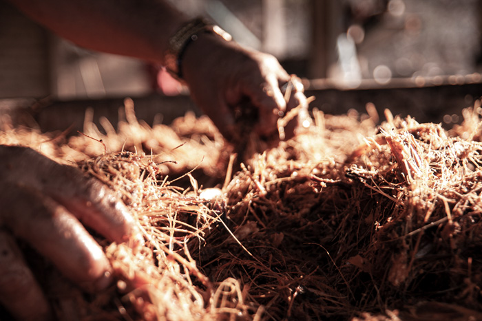 Rajabule-mezcal-artesanal-sustentable-proceso-seccion-cuarta-4 Horizonte Sustentable - Barril 2022 Rajabule mezcal artesanal sustentable proceso seccion cuarta 4