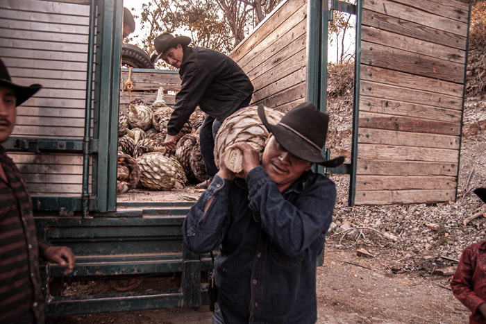 Rajabule-mezcal-artesanal-sustentable-proceso-seccion-cuarta Horizonte Sustentable - Barril 2022 Rajabule mezcal artesanal sustentable proceso seccion cuarta