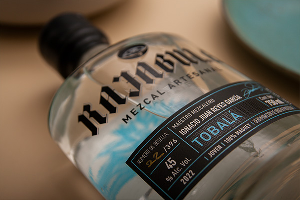 Horizonte Sustentable - Tobalá 2022 Rajabule mezcal artesanal sustentable tobala escena2