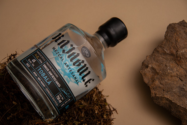 Horizonte Sustentable - Tobalá 2022 Rajabule mezcal artesanal sustentable tobala escena4