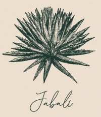 magey-jabali-pagina-dedicada2 magey-jabali-pagina-dedicada2