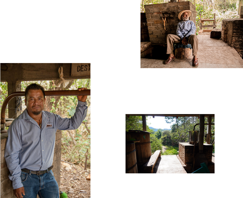 san-sebastian-de-las-grutas-Familia-Reyes Horizonte Sustentable - Rajabule san sebastian de las grutas Familia Reyes