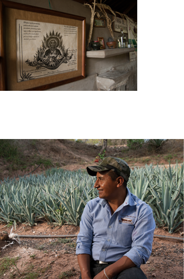 san-sebastian-de-las-grutas-fidel Horizonte Sustentable - Rajabule san sebastian de las grutas fidel