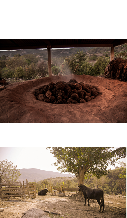 seccion-cuarta-horno Horizonte Sustentable - Rajabule seccion cuarta horno