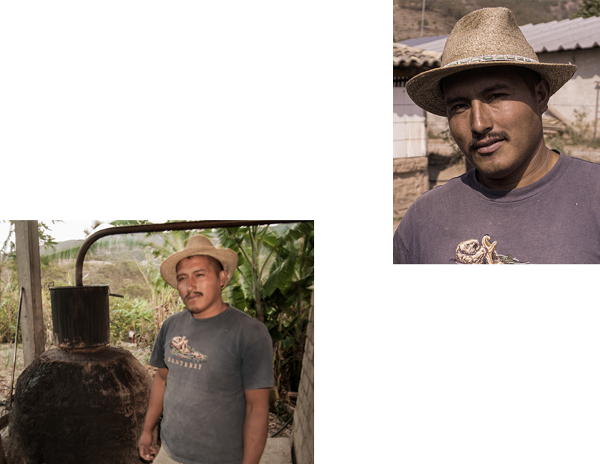 seccion-cuarta-mariano-morales Horizonte Sustentable - Rajabule seccion cuarta mariano morales