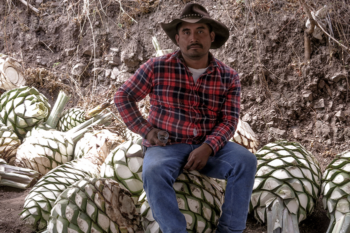 Rajabule-scouting-abril-2019 Horizonte Sustentable - Espadín | Mexicano 2016 Mezcal artesanal maestro mezcalero jeronimo mendez 01