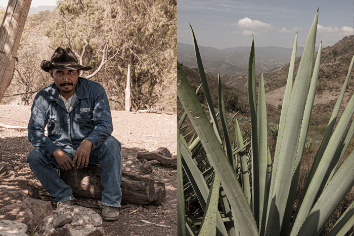Rajabule-scouting-abril-2019 Horizonte Sustentable - Espadín | Mexicano 2016 Mezcal artesanal proceso maestro mezcalero jeronimo mendez 03