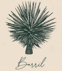 magey-barril-verde-con-textos magey-barril-verde-con-textos