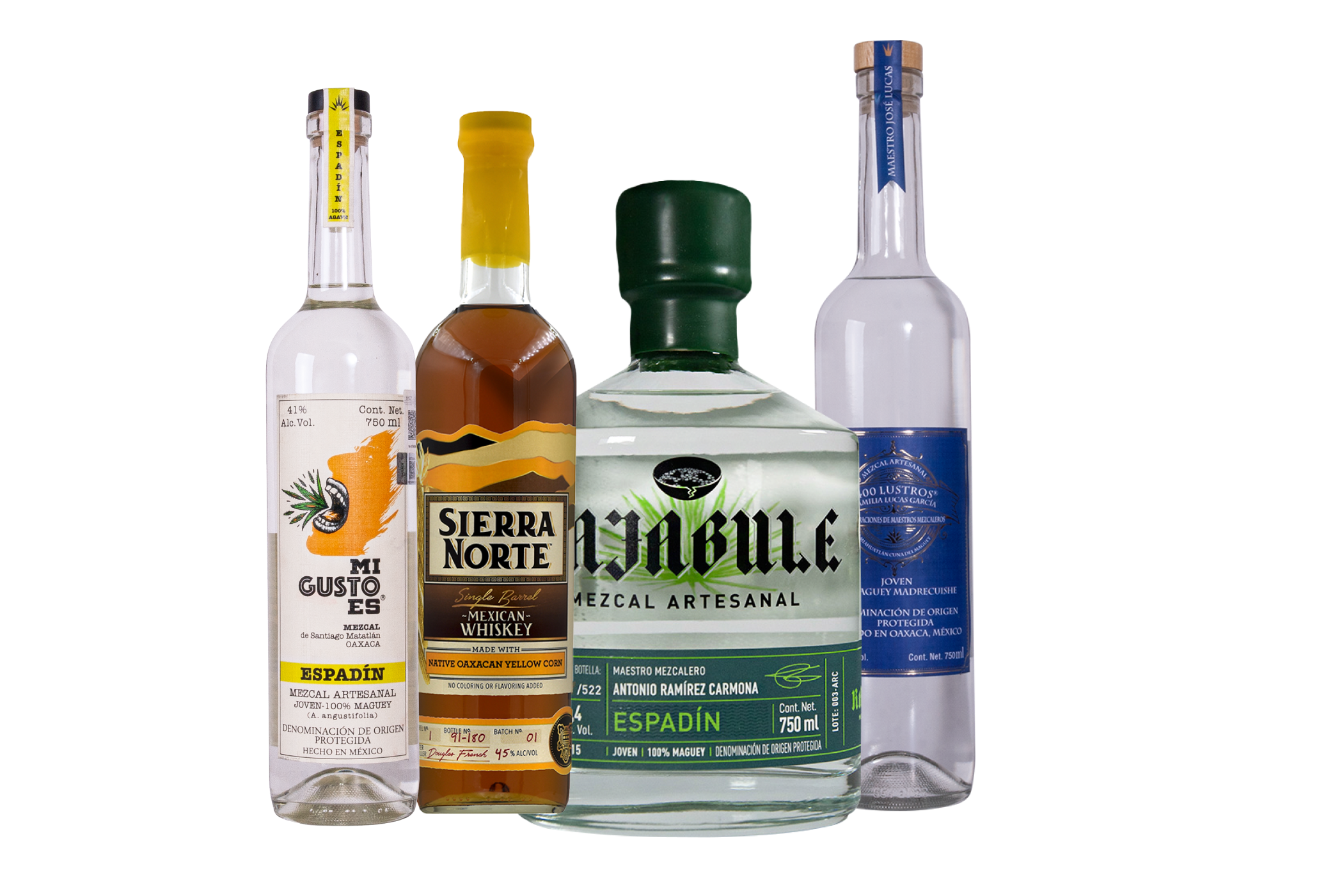 Group 22 Horizonte Sustentable - Club Tutuma Group 22