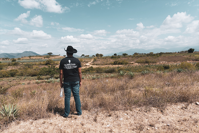 400-lustros-palenque-04 Horizonte Sustentable - CUCHARILLO 400 lustros palenque 04