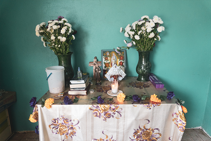 400-lustros-palenque-05 Horizonte Sustentable - CUCHARILLO 400 lustros palenque 05