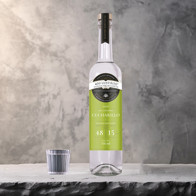 Cucharillo-400lustros-400x400-000 Horizonte Sustentable - CUCHARILLO Cucharillo 400lustros 400x400 000