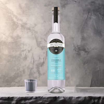 Ensamble-tres-agaves-400lustros-400x400-000 Horizonte Sustentable - ENSAMBLE 3 AGAVES Ensamble tres agaves 400lustros 400x400 000