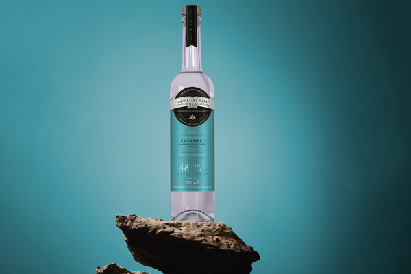 Ensamble-tres-agaves-400lustros-600x400-00 Horizonte Sustentable - ENSAMBLE 3 AGAVES Ensamble tres agaves 400lustros 600x400 00