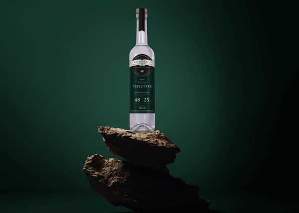 Madrecuishe-400lustros-montaje Horizonte Sustentable - Tepeztate Madrecuishe 400lustros montaje