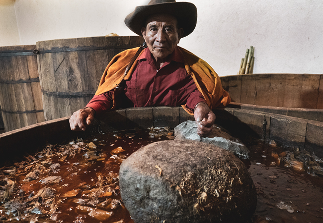 Proceso-Jose-Lucas Horizonte Sustentable - CUCHARILLO Proceso Jose Lucas