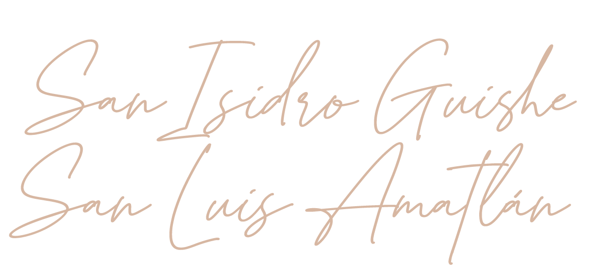 SanIsidroGuishe Horizonte Sustentable - CUCHARILLO SanIsidroGuishe