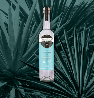 Horizonte Sustentable - CUCHARILLO ensamble 3 agaves 400 Lustros Jump 01 null