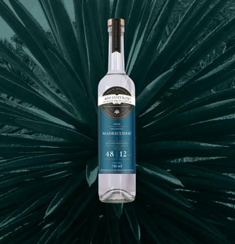 Horizonte Sustentable - CUCHARILLO madrecuishe 400 Lustros Jump 01 null