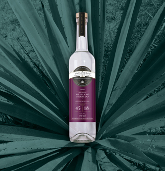 Horizonte Sustentable - CUCHARILLO mexicano sierrudo 400 Lustros Jump 01 null