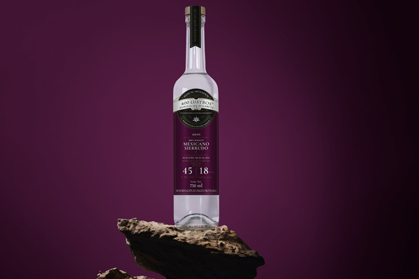 mexicano-sierrudo-400lustros-600x400-00 Horizonte Sustentable - MEXICANO SIERRUDO mexicano sierrudo 400lustros 600x400 00