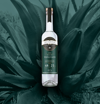 Horizonte Sustentable - CUCHARILLO tepeztate 400 Lustros Jump 01 null