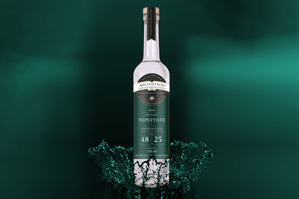 tepeztate-splash-montaje-600x400 Horizonte Sustentable - Tepeztate tepeztate splash montaje 600x400 1